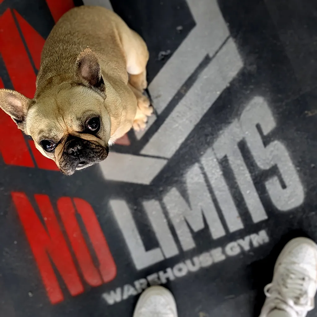 No Limits Gym Hamburg — träningsstudio i Hamburg — 3