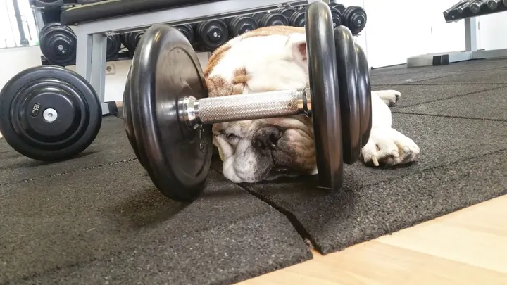 Evas Apfel — fitnessstudio in Grünstadt — 4