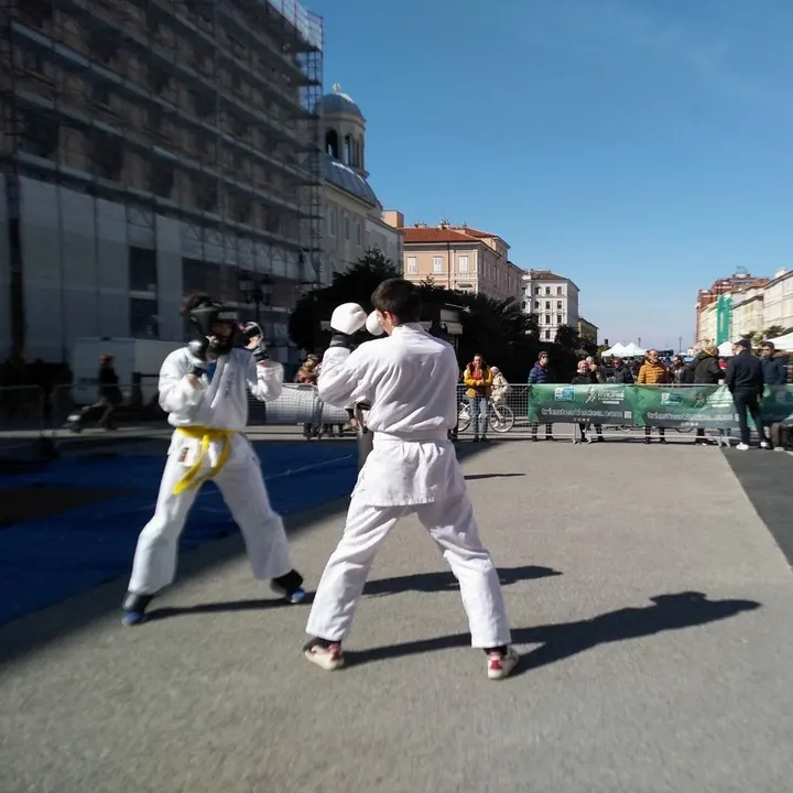 Kokorozashi - Scuola di Arti Marziali — mma-studio a Trieste — 3