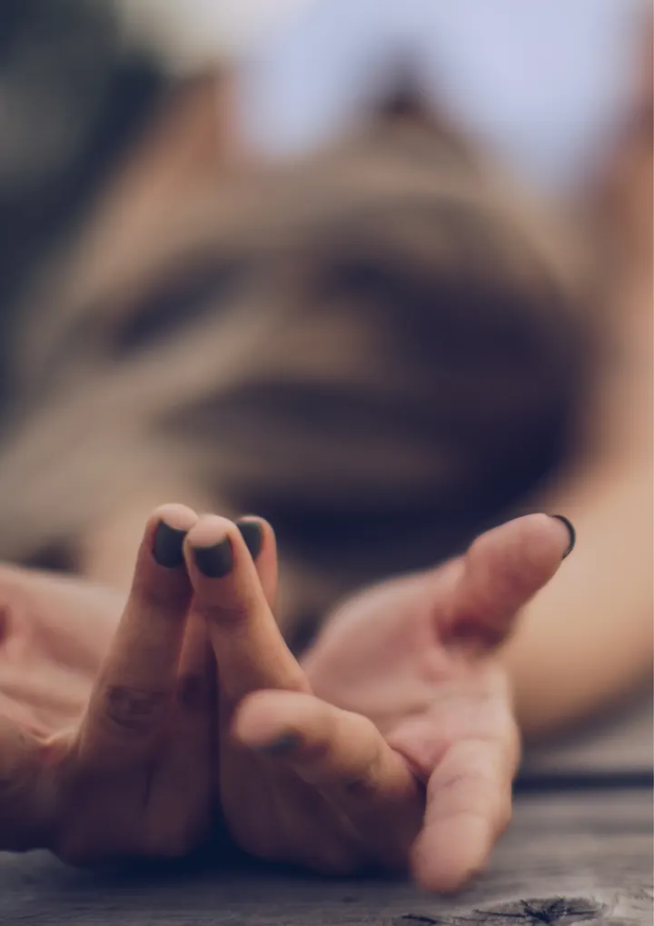 Shala OMM- Studio-Room de Yoga - Pilates — yoga-studio à Saint-Louis, Versailles — 2
