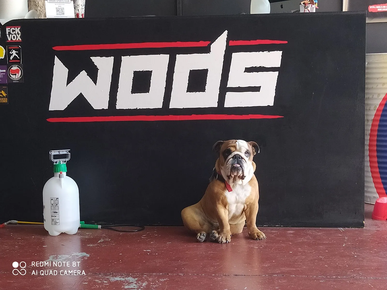 WODS - Entrenamiento funcional y Cross Training — entrenamiento funcional-studio en Centre, L'Hospitalet de Llobregat — 3