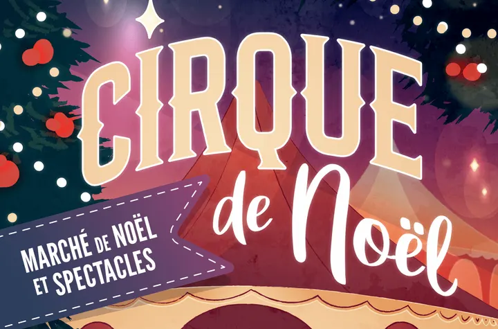 Ecole du Cirque Orsola — arts aériens-studio à Chitenay — 5