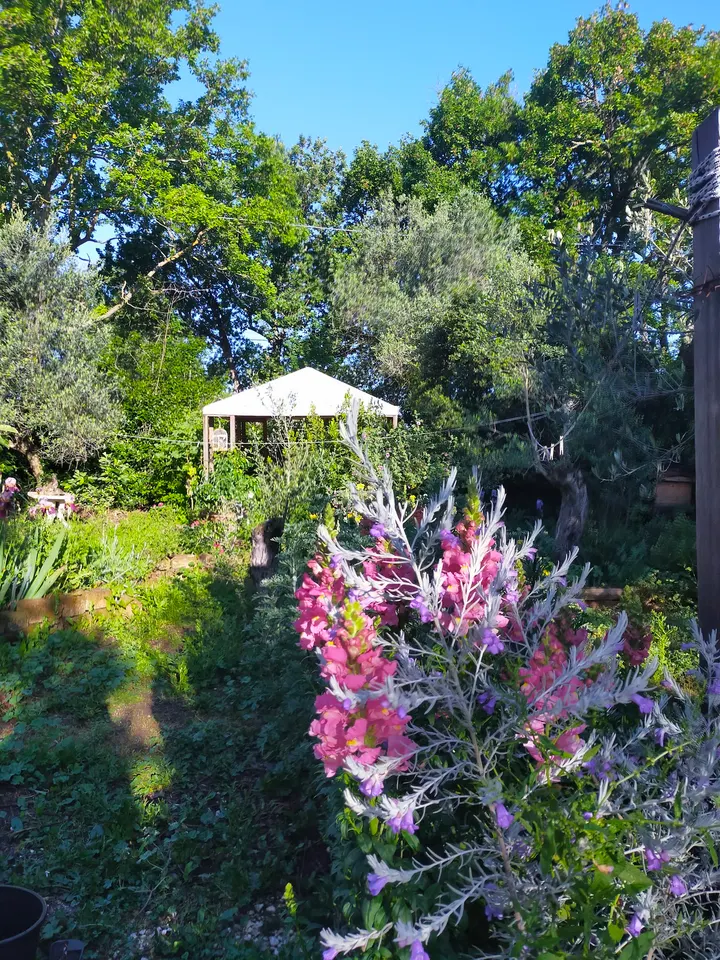 Centro Yoga Ram Dass — yoga-studio a Viterbo — 5