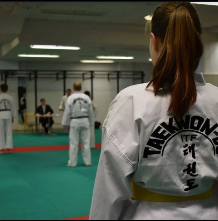 Hosin Sul Taekwon-do — kamppailulajit-studio – Vuosaari, Helsinki — 2
