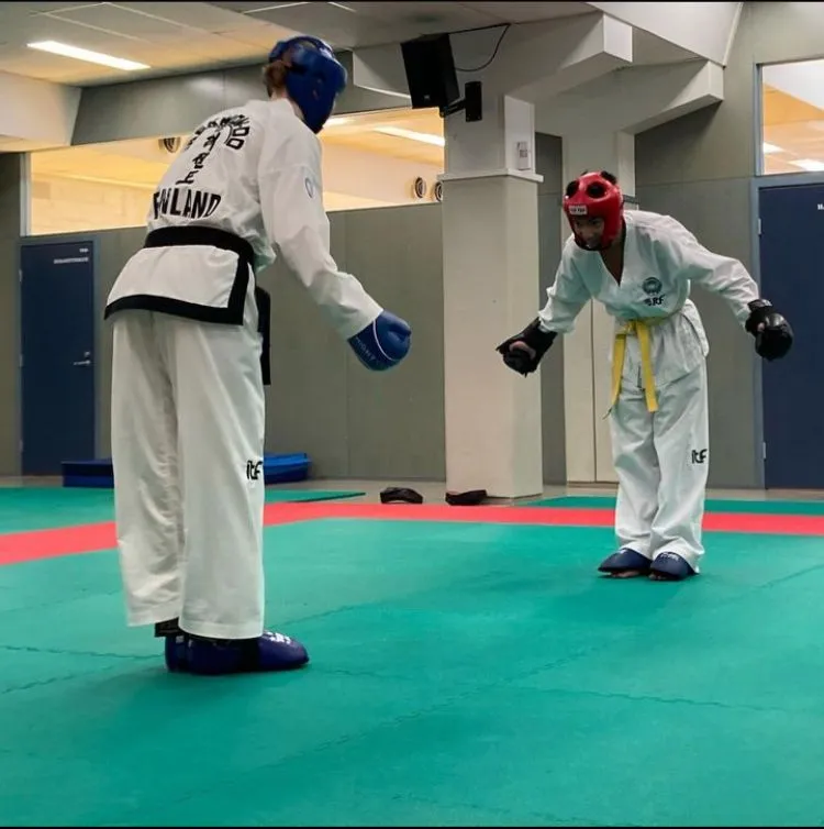 Hosin Sul Taekwon-do — kamppailulajit-studio – Helsinki — 3