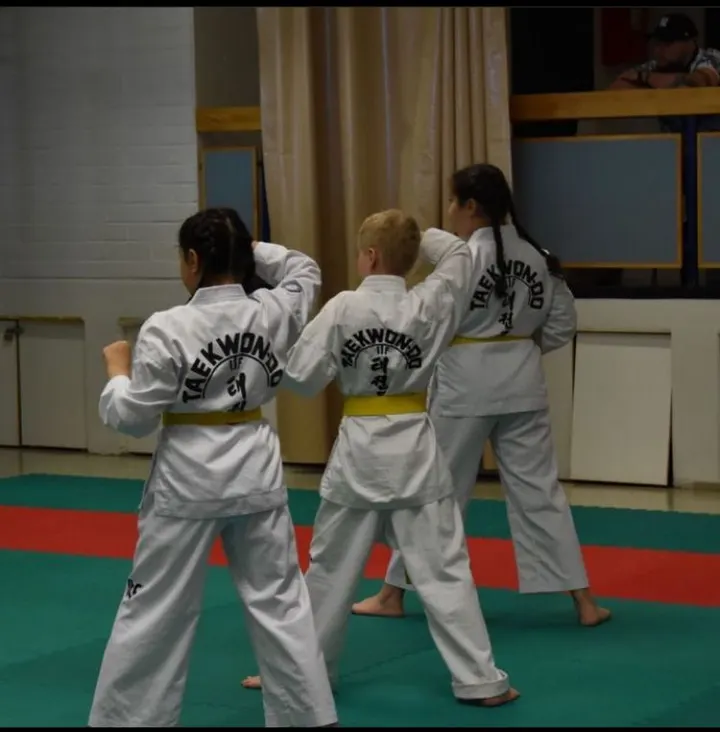 Hosin Sul Taekwon-do — Kamppailulajit – Vuosaari, Helsinki