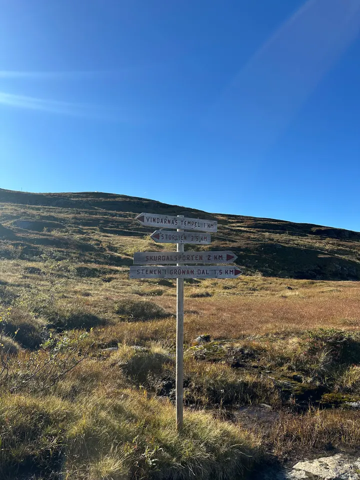 MÅYA Ida-Marie Thundal — yoga-studio i Sundsvall — 5