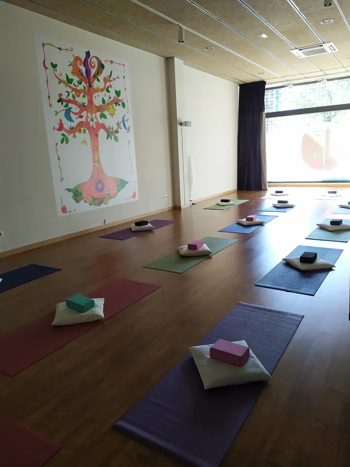Ioga Girona Centre Vital — Yoga en Montilivi, Girona