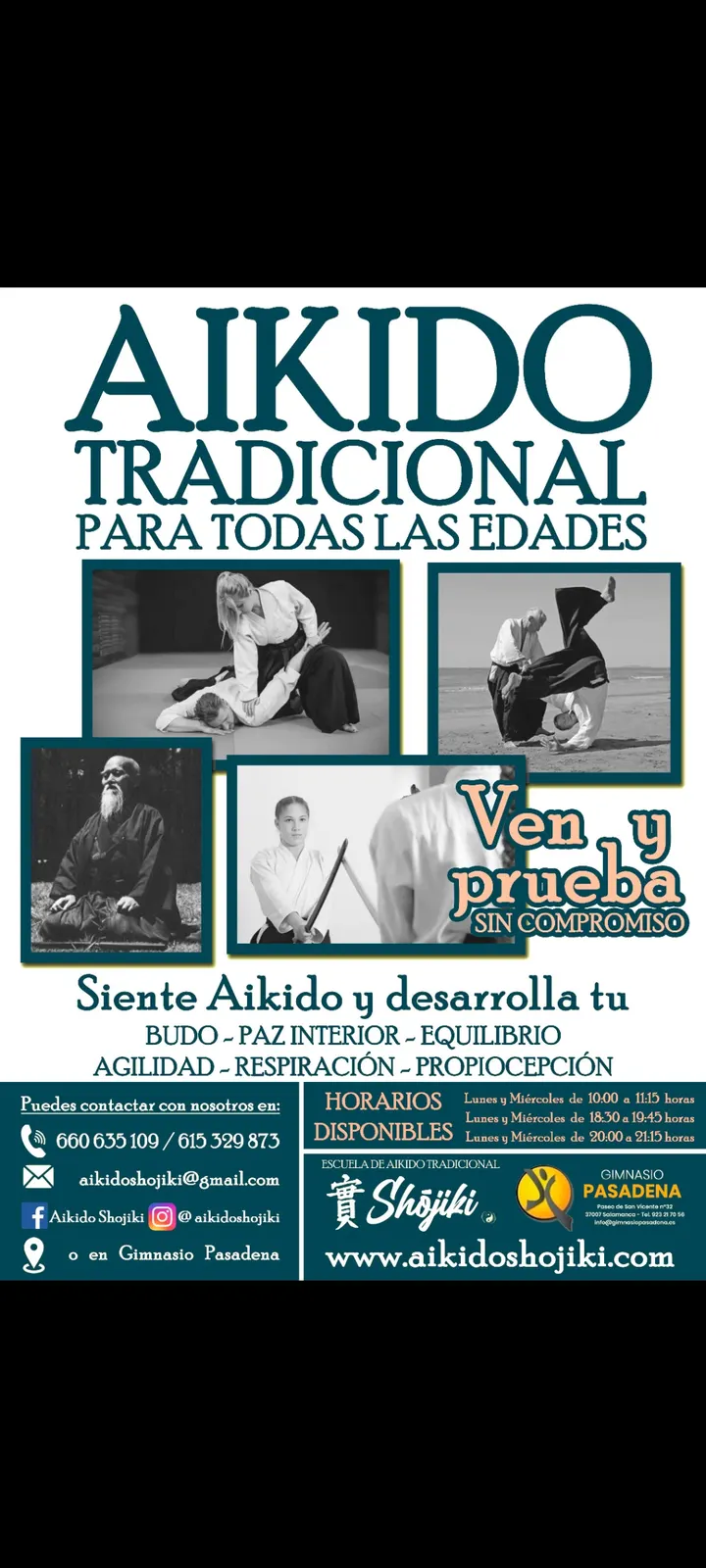 Escuela de Aikido Tradicional Shojiki Salamanca — Artes marciales en San Bernardo, Salamanca
