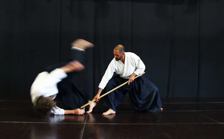 Shun Fu Kan LRK — arts martiaux-studio à Kermadec, Le Relecq-Kerhuon — 2