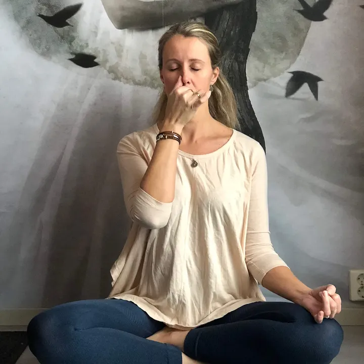 Yogini Lind Yoga — Yoga i Brevik, Finstadjordet
