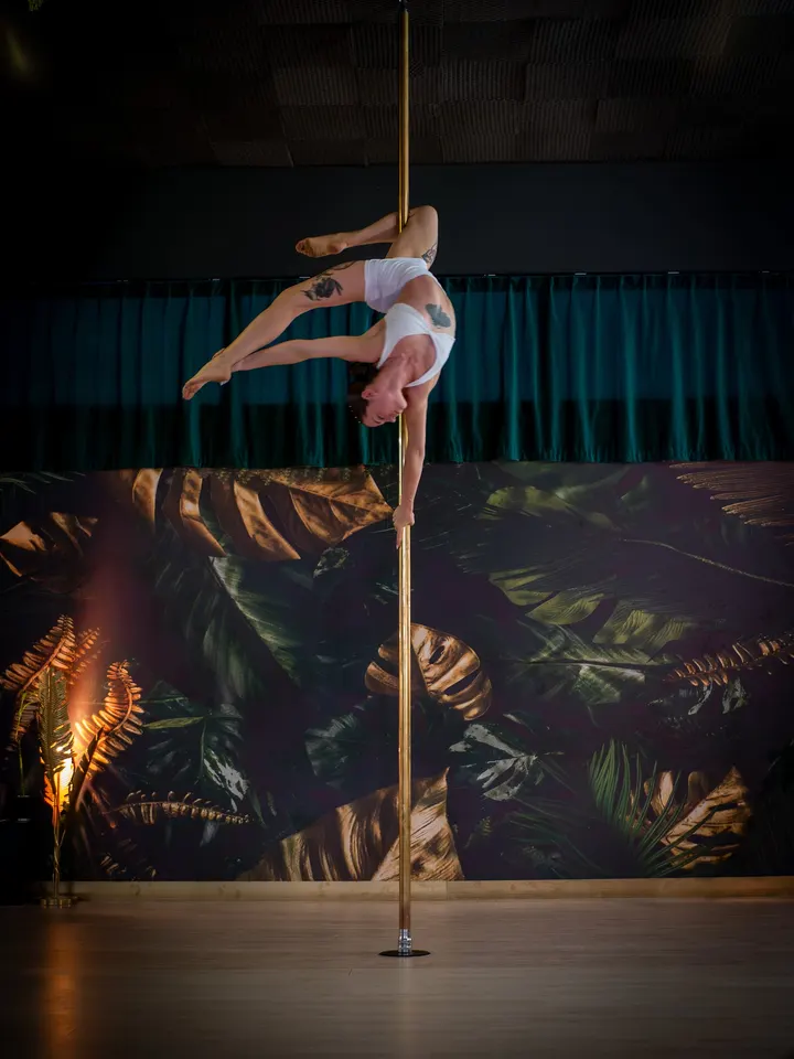 Be Wild Studio — pole fitness-studio en Vigo — 4