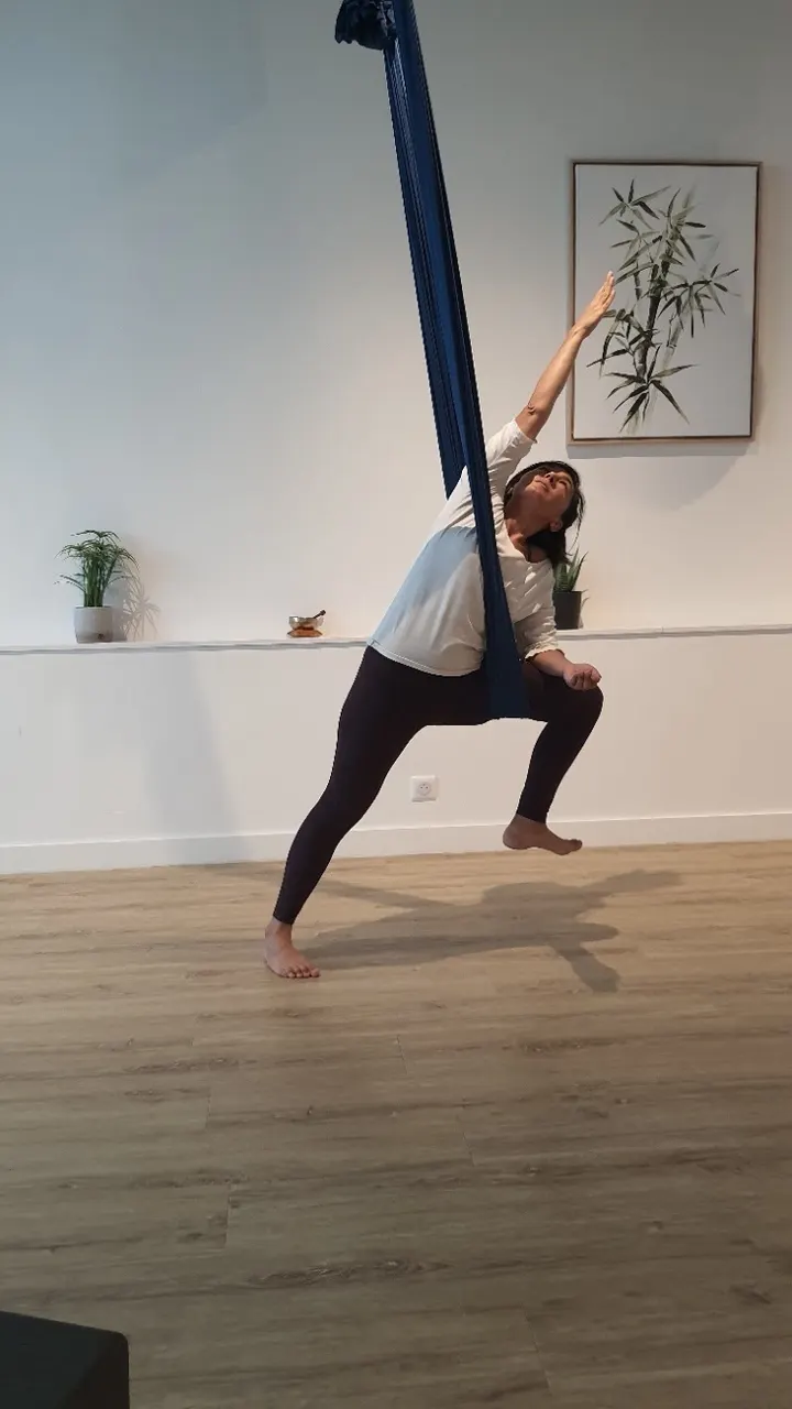 Yoga Nogal - Yoga Aérien Nantes - Centre Eozen — yoga-studio à Nantes — 3