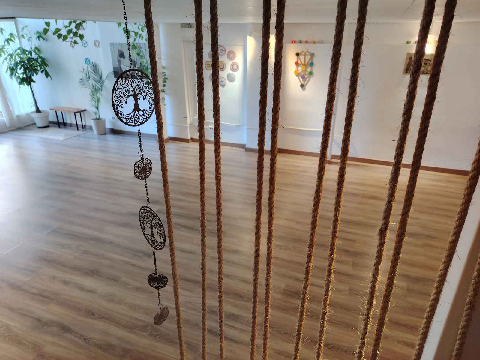 La Llavor De La Vida — yoga-studio en Premià de Mar — 3