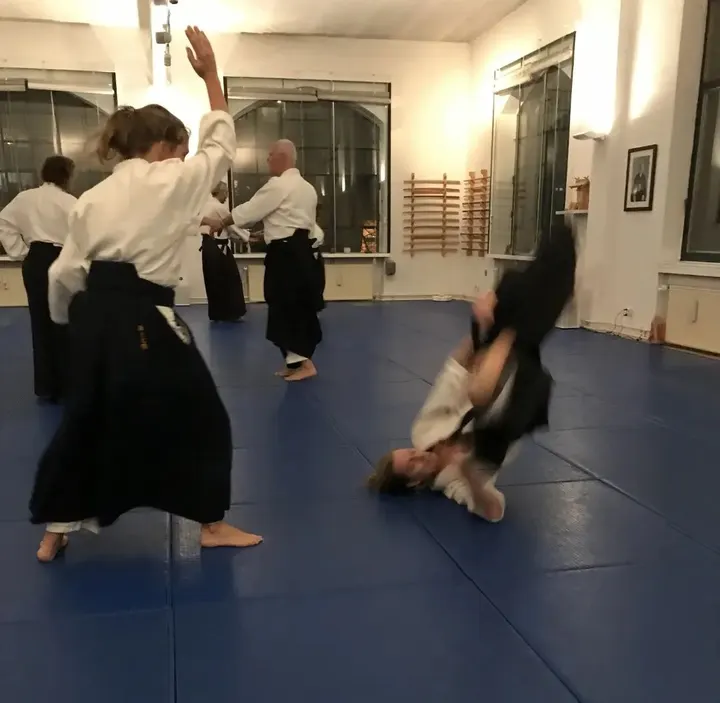 Aikido-Dojo Jiyukan — kampfsport-studio in Innenstadt-Ost Südwestlicher Teil, Karlsruhe — 3