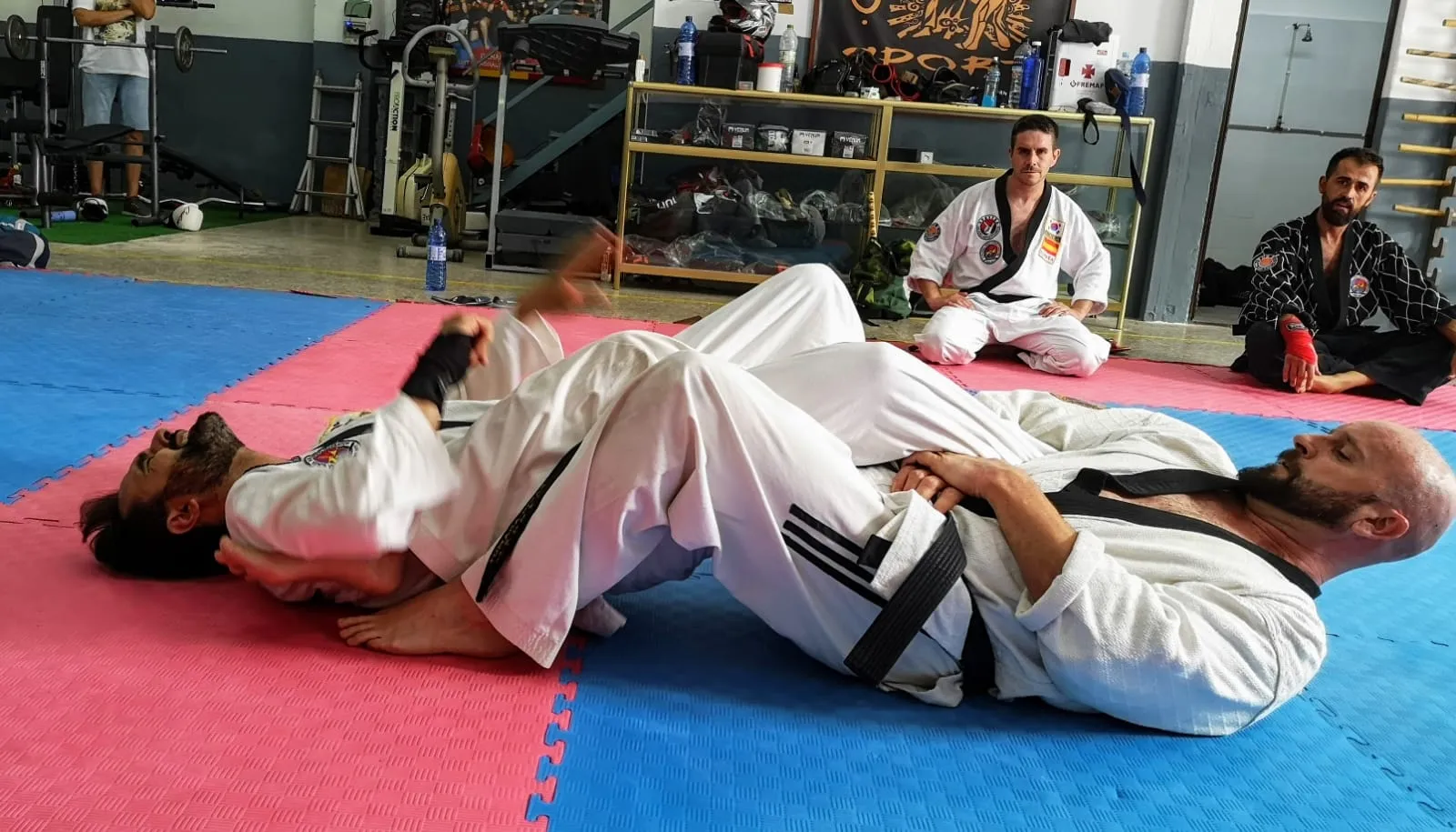 Moo Shin Kwan - Hapkido Lucena (msk) — kampsport-studio i Lucena — bild 2