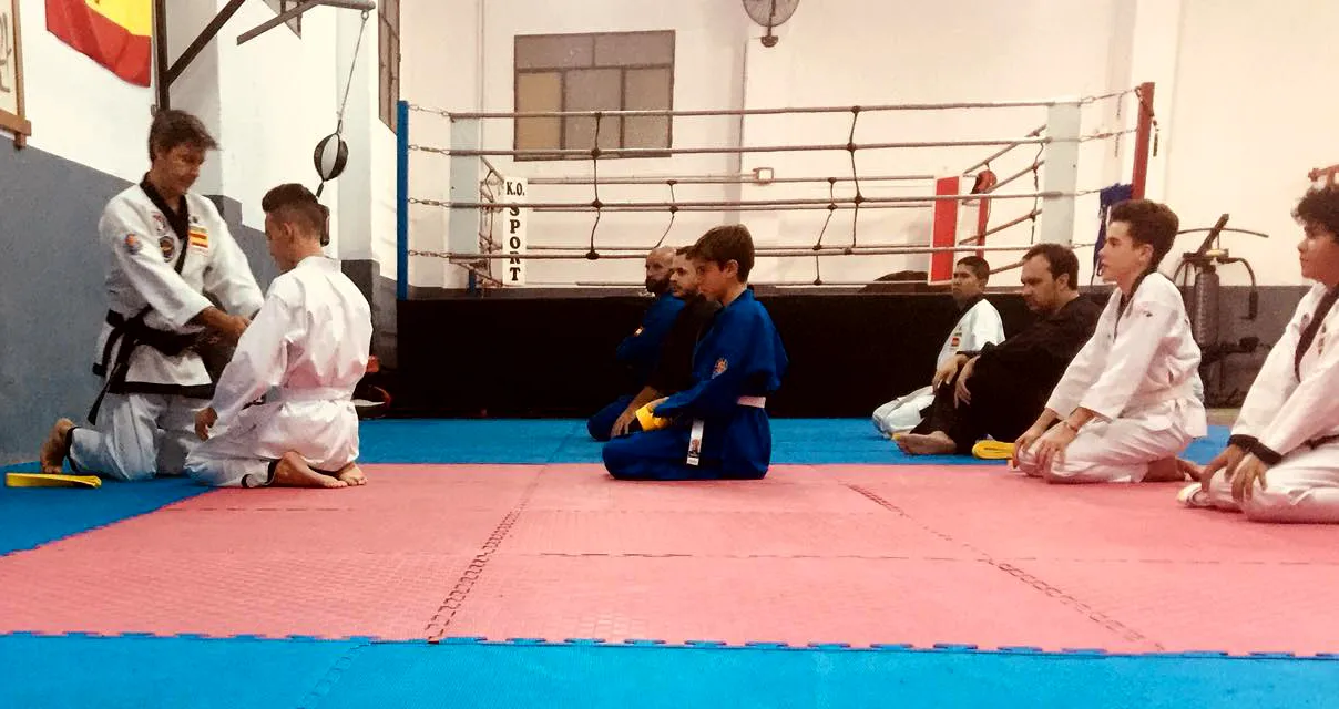 Moo Shin Kwan - Hapkido Lucena (msk) — kampsport-studio i Lucena — bild 4