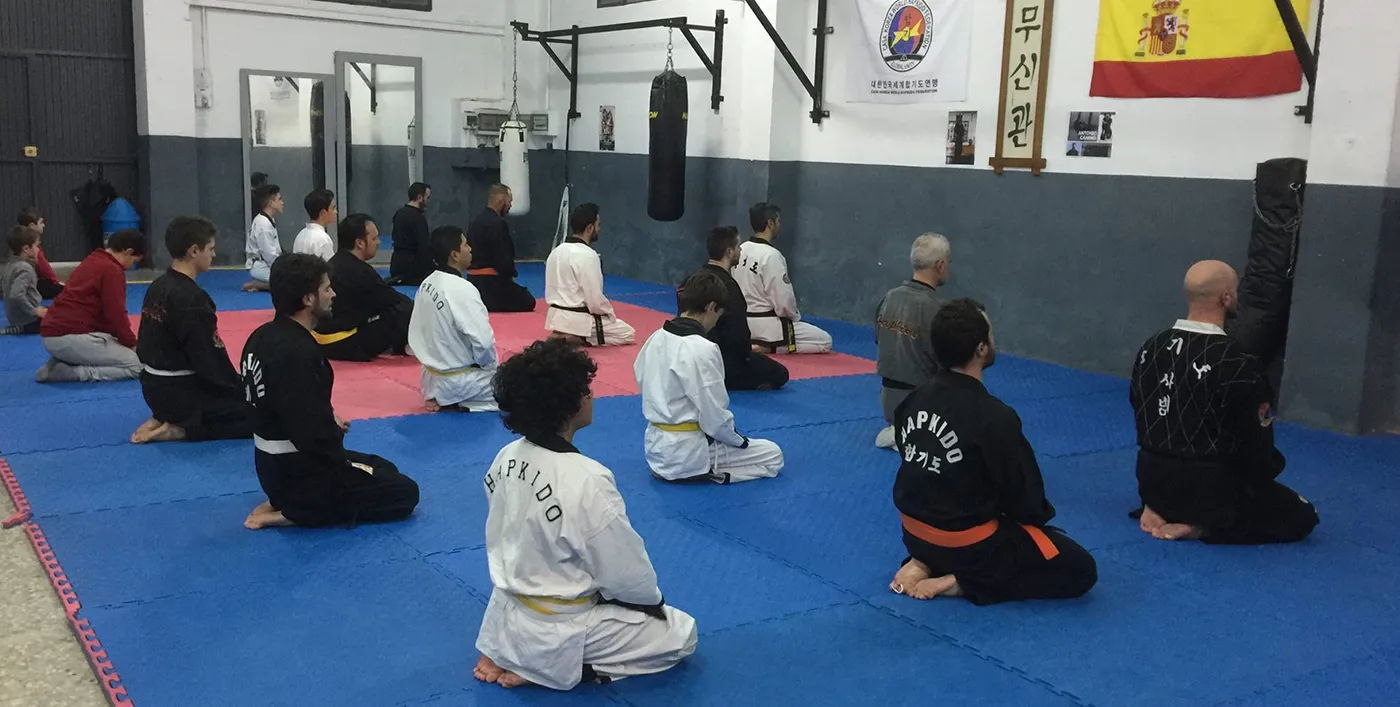 Moo Shin Kwan - Hapkido Lucena (msk) — kampsport-studio i Lucena — bild 6