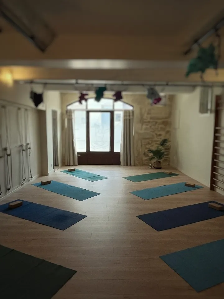 Ginkgo Studio Yoga Pilates — yoga-studio à Montpellier — 4