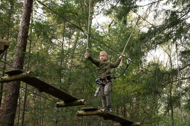 Klimbos Bergen op Zoom — Klimmen in Bergen op Zoom