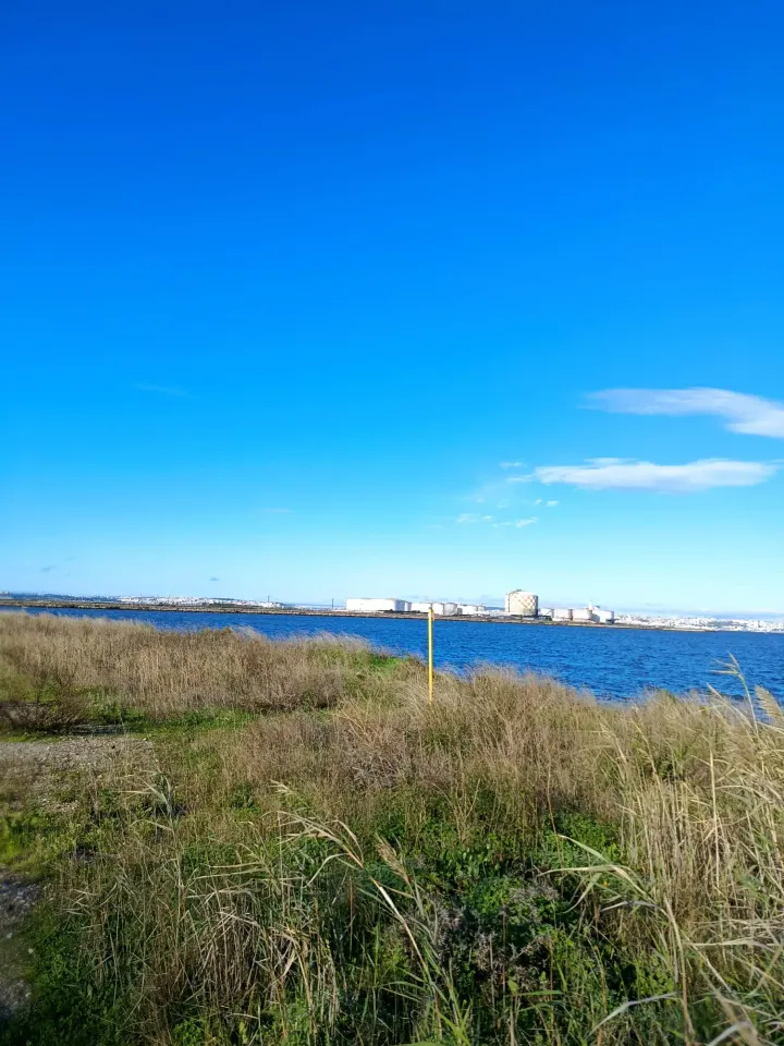 Outdoor Training Camp - Baía do Seixal — bootcamp-studio em Seixal — 3
