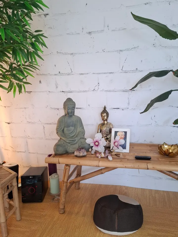 TAO-Qi Life — meditation-studio in Borna-Heinersdorf, Chemnitz — 2
