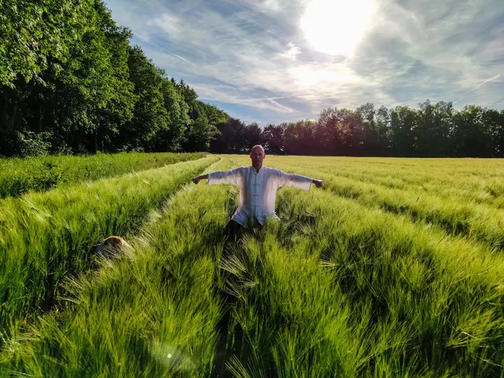 TAO-Qi.Life - Fernöstliche Heil- und Bewegungskunst — Yoga in Borna-Heinersdorf, Chemnitz