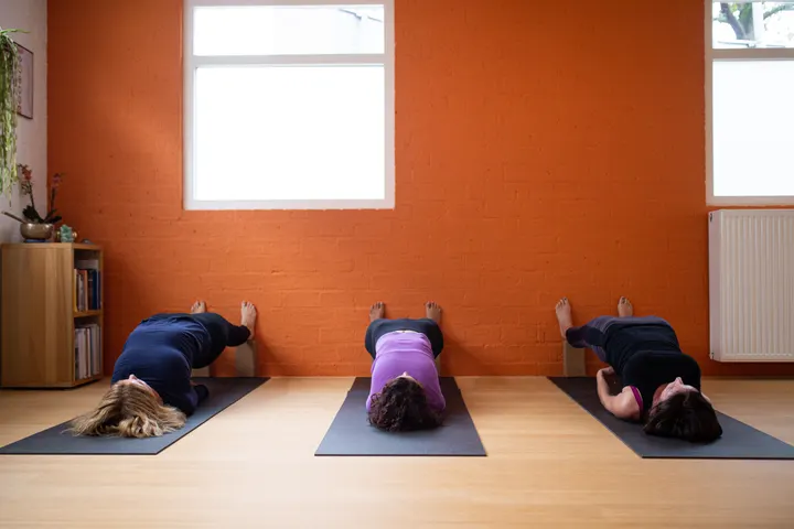 Iyengar Yoga Haarlem — Yoga in Haarlem