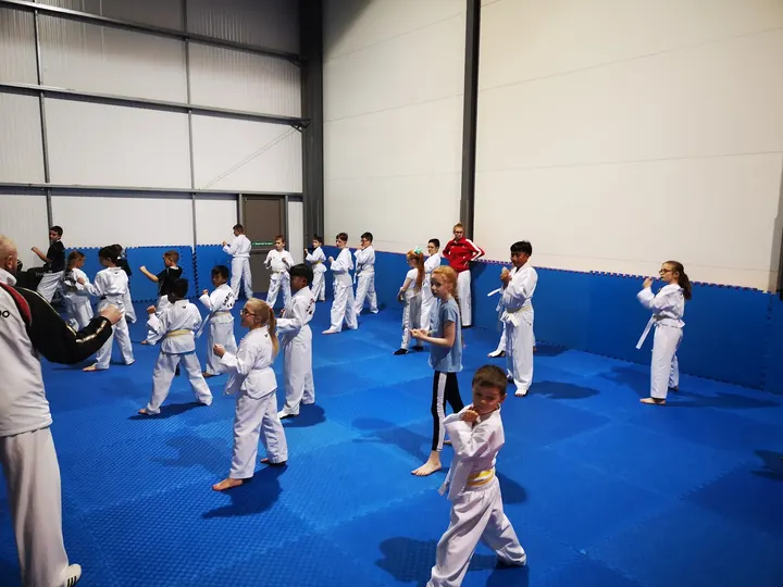 Phoenix Taekwondo Academy — martial arts-studio in Liswerry, Newport — 2