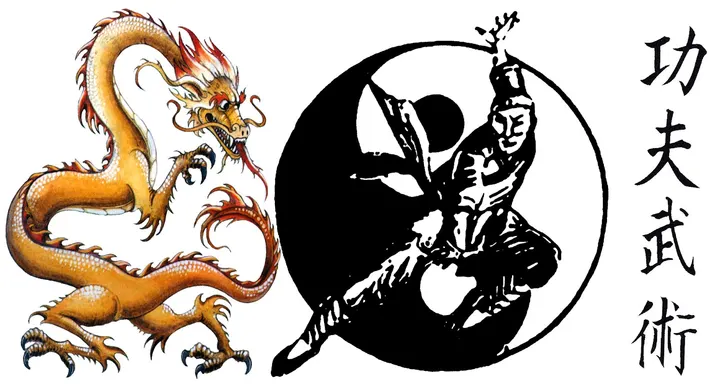 Kung Fu Shaolin Grenoble — arts martiaux-studio à Secteur 4, Grenoble — 2