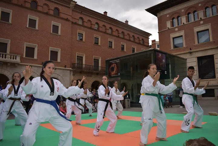 Defensa Personal Y Taekwondo En Teruel - Joaquina Edo — artes marciales-studio en Teruel — 2