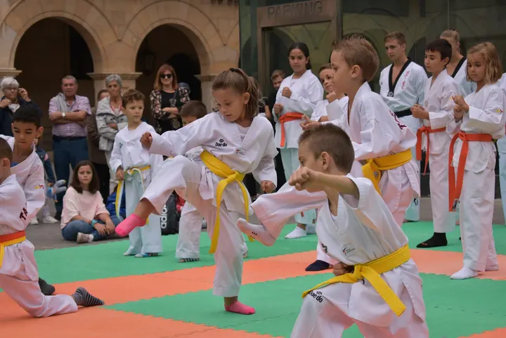 Defensa Personal Y Taekwondo En Teruel - Joaquina Edo — artes marciales-studio en Teruel — 3