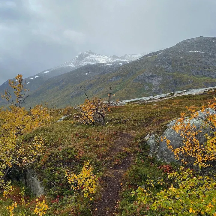 The Peaceful Wild — yoga-studio i Sjurelv, Tromsø — 2