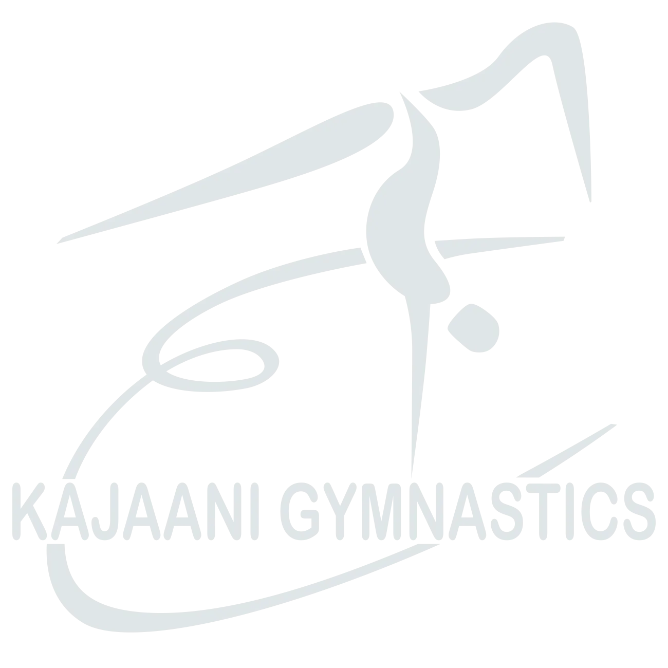 Kajaani Gymnastics ry — träningsstudio-studio i Kajaani — bild 2