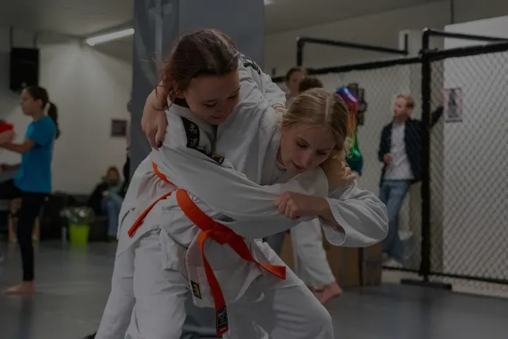 shugyo budo ryu — BJJ in Vollenhove, Zeist