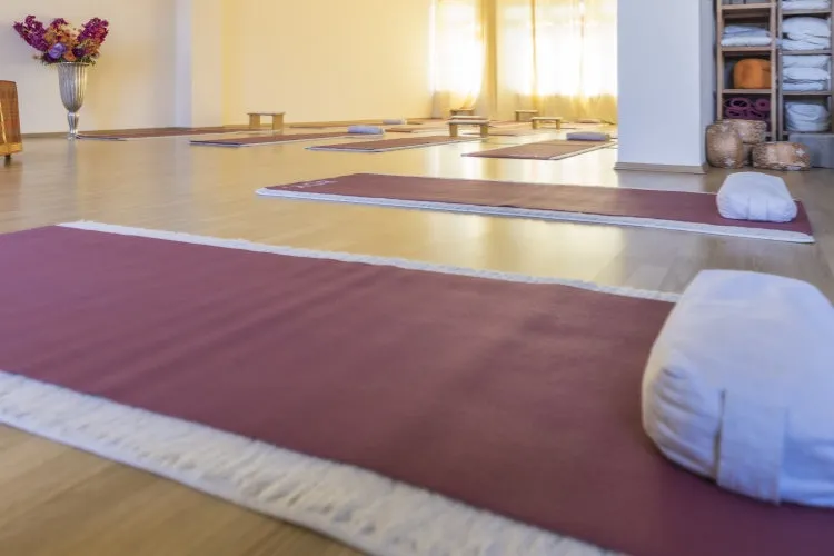 Yoga-Ayurveda Akademie — yoga-studio in Krefeld-Mitte, Krefeld — 3