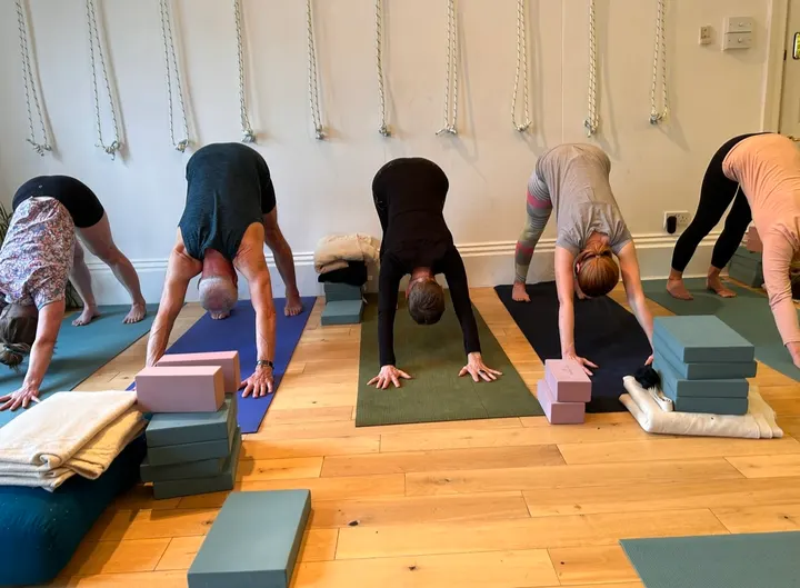 Yoga Metta - Leeds — yoga-studio in Leeds — 5