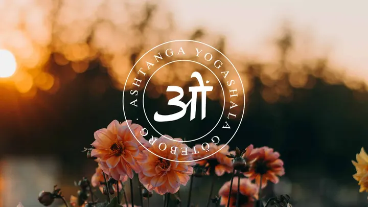 Ashtanga Yogashala Göteborg — yoga-studio i Göteborg — 4