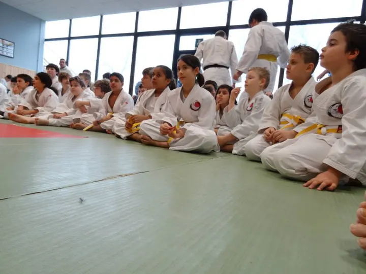 Dojo SDK A.S.D. — arti marziali-studio a Ospizio, Reggio Emilia — 2