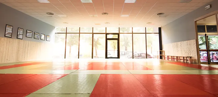 Dojo SDK A.S.D. — arti marziali-studio a Ospizio, Reggio Emilia — 3