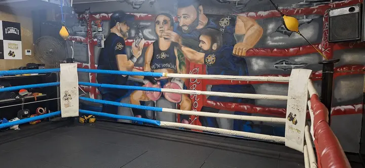 Club de boxeo Mijas — Artes marciales en Media Legua, Las Lagunas de Mijas