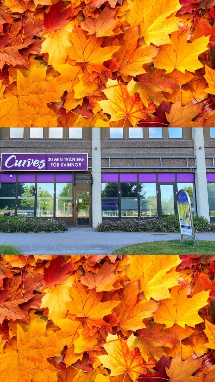 Curves Upplands Väsby — träningsstudio i Upplands Väsby, Stockholm — 3