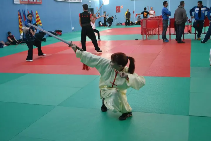 Lung Tao — artes marciales-studio en Castellón de la Plana — 5