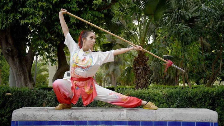 Lung Tao — Artes marciales en Castelló de la Plana