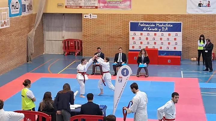 Dojo Rivera Ryu — artes marciales-studio en Móstoles — 5