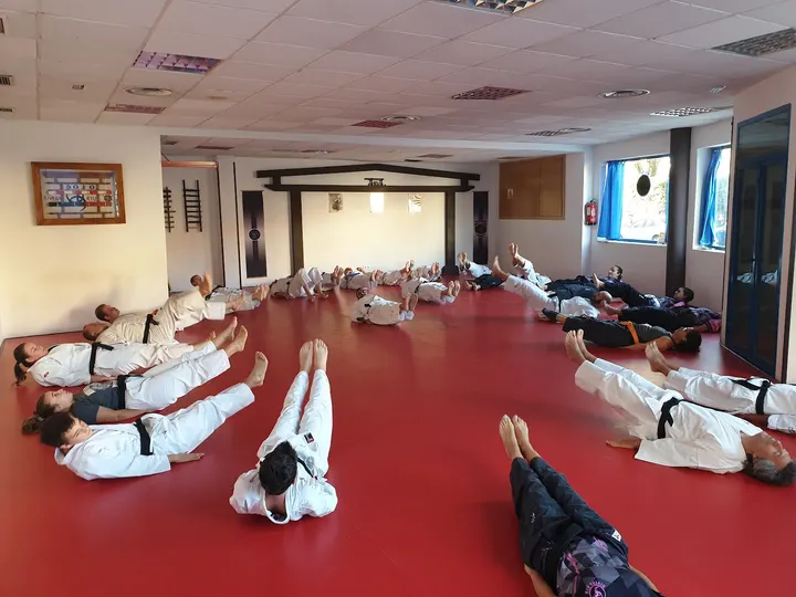 Escuela de artes marciales en Móstoles | Dojo Rivera Ryu — Artes marciales en Móstoles