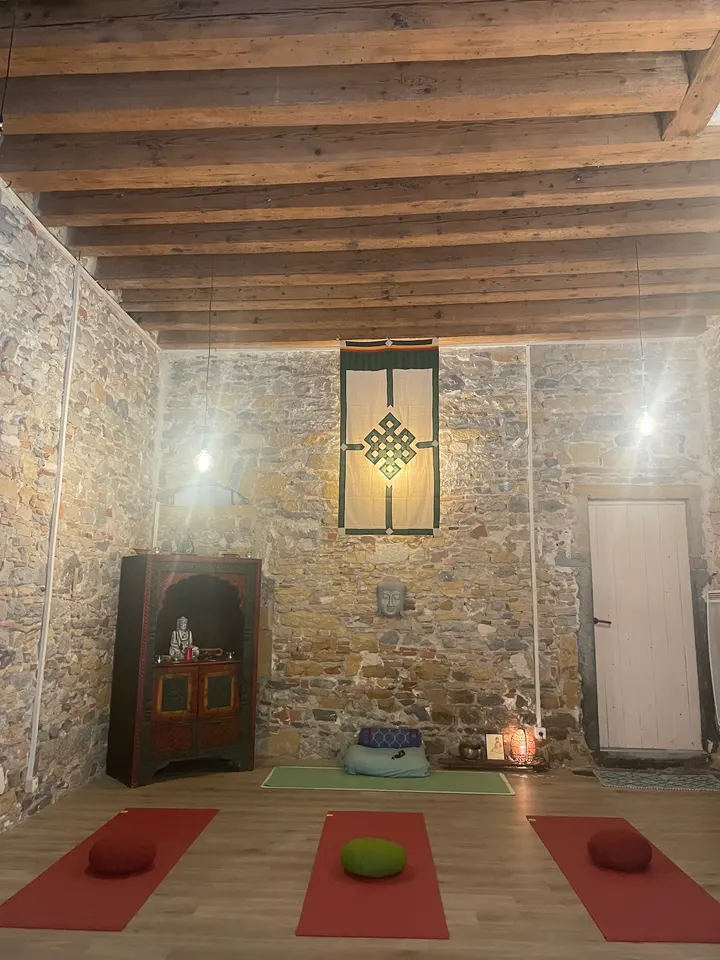 GINGER DHARMAYU — yoga-studio à Lyon — 3