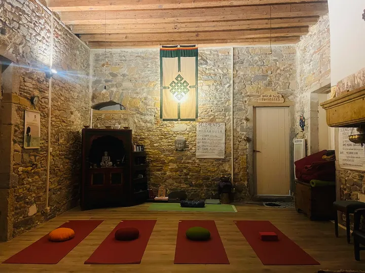 GINGER DHARMAYU — Yoga à Quartiers anciens, Lyon