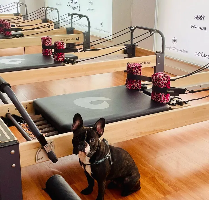 Soul Training — Pilates en Canalejas, Las Palmas de Gran Canaria