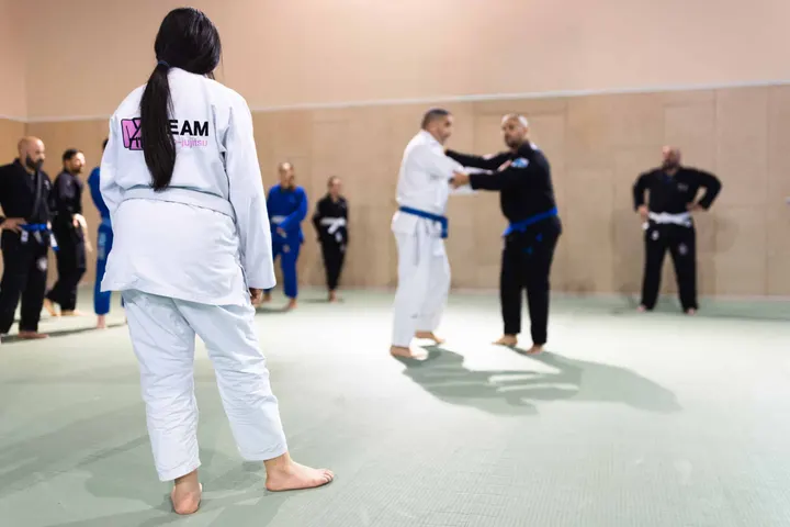Team Judo Jujitsu Julien — JJB à 5e Arrondissement, Marseille